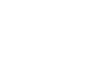 ROKI-Technio