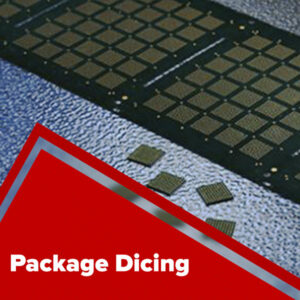Package Dicing